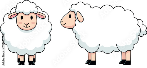 Cute cartoon sheep front and side view vector illustration for kids, farm animals, nursery design, educational and character art