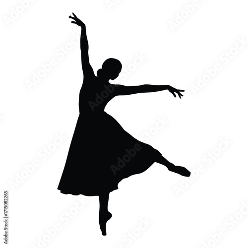 Elegant ballerina in a dynamic pose captured as a striking silhouette