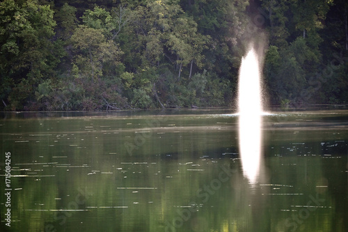 Pond Fountain and Reflection