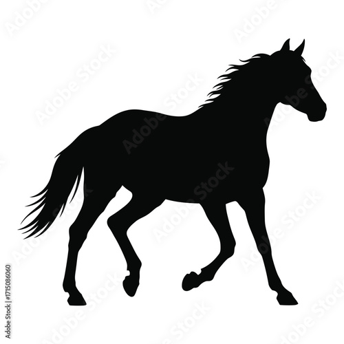 A majestic horse in motion depicted as a striking black silhouette