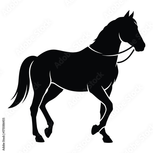Elegant horse depiction with a flowing mane a striking black silhouette