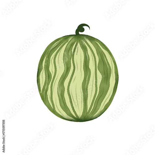 watermelon isolated on white background
