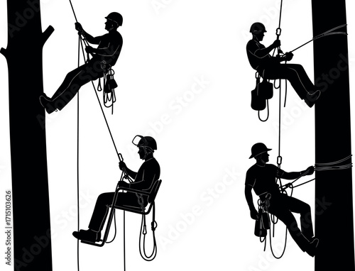 Tree climbing arborists using safety gear and ropes for professional pruning, maintenance, and forestry work in outdoor natural environments