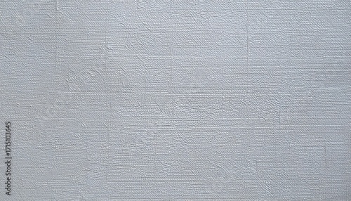 Light gray textured surface