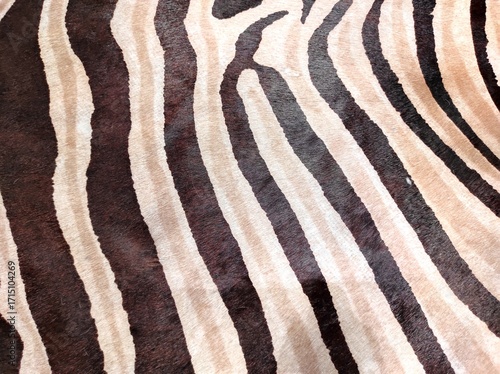 zebra skin texture
