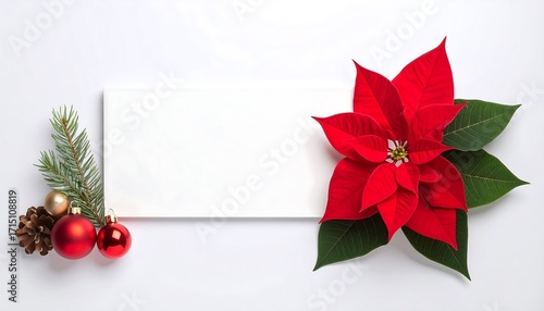 Christmas Poinsettia on White Background