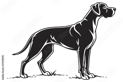 Great Dane Dog Silhouette – Vector PNG, Transparent Background
