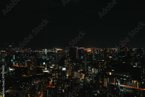 A wide, aerial view of a vast, glowing city at night, with a distant bridge and highway lights creating a golden glow on the horizon