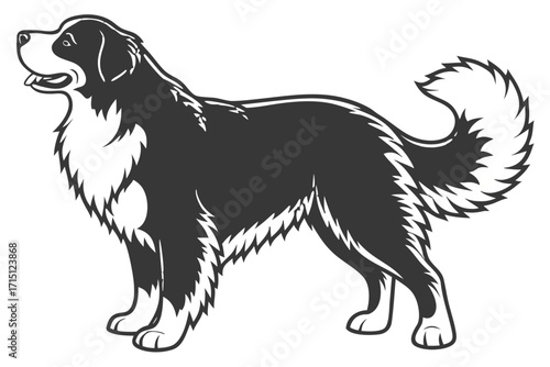 Bernese Mountain Dog Silhouette – Vector PNG, Transparent Background