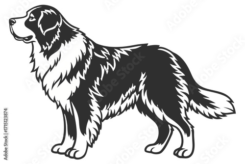 Bernese Mountain Dog Silhouette – Vector PNG, Transparent Background