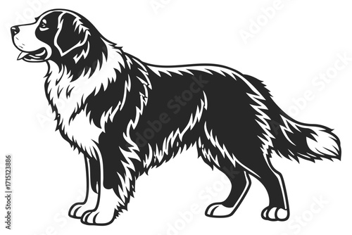 Bernese Mountain Dog Silhouette – Vector PNG, Transparent Background