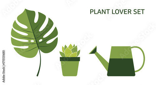 Vector illustration set of indoor gardening elements including a potted succulent, tropical leaf, and watering can