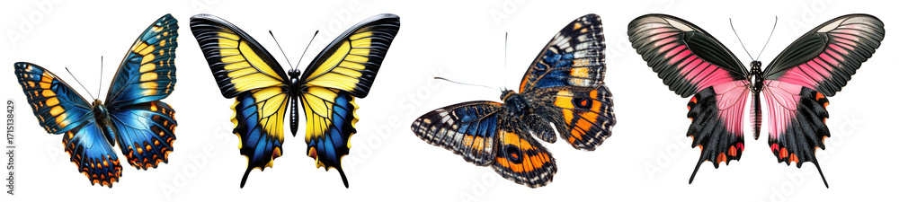 Obraz premium PNG Colorful butterflies in flight, element set on transparent background