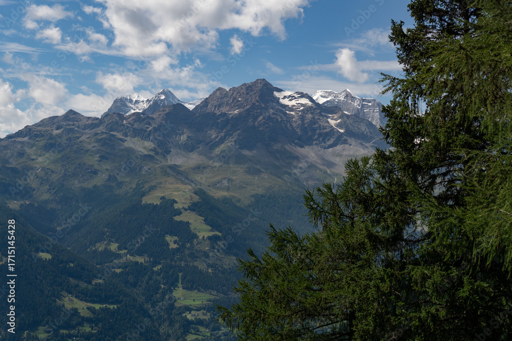 Obraz premium Schneeberge im Sommer