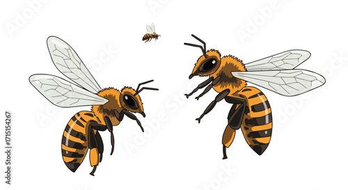 Illustrated cartoon with three bees in flight showcasing distinct patterns and bright colorations in a vector format