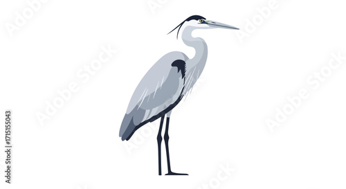 Elegant heron illustration showcasing calm avian grace against a bright white backdrop in a clean graphic style