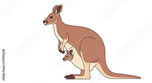 Cartoon illustration of a kangaroo with a baby in its pouch standing against a plain background showing motherhood in nature