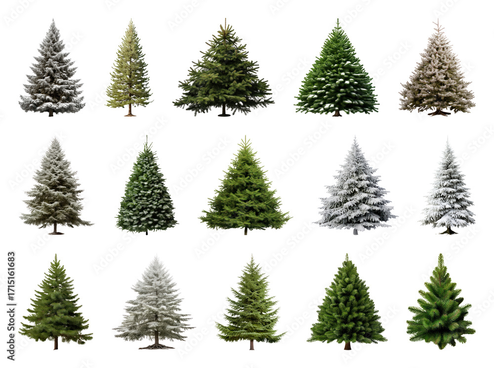 Obraz premium PNG Diverse evergreen trees collection, element set on transparent background