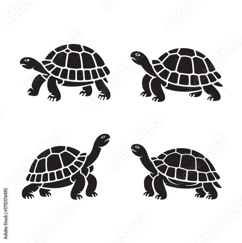 Four Tortoise Silhouettes On White Background Keywords: tortoise, turtle, animal, reptile, silhouette, black and white, slow, steady, movement