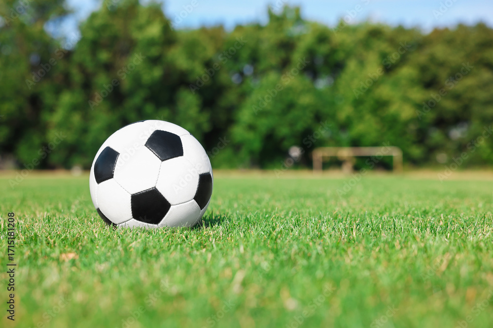 Fototapeta premium Soccer ball on green grass outdoors, space for text. Football game
