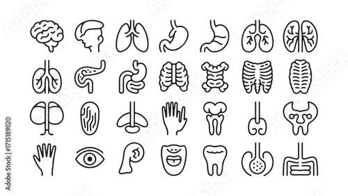 Medical organs icon set for healthcare and science designs
