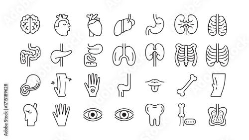 Collection of medical organ icons for healthcare design