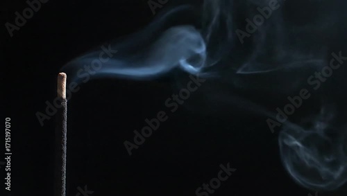 Incense Smoke: An artistic close-up showcases the gentle, ethereal tendrils of incense smoke rising from a burning stick, evoking tranquility and meditation.