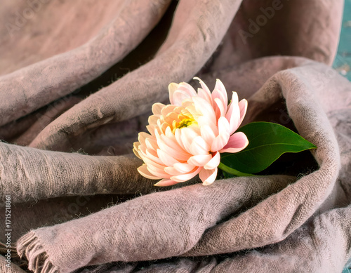 Soft Blooms Nestled in Cozy Woolen Scarf Folds Resting Beautifully