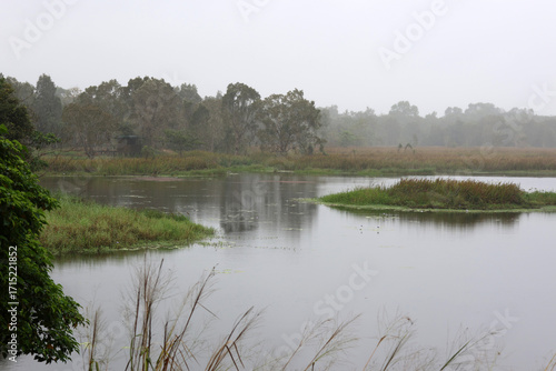 Trees, grass, water and bird hide on a rainy day at the Tyto Wetlands in Ingham, Queensland, Australia