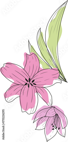 RD 4-9 lily triangle pattern clip mask-11