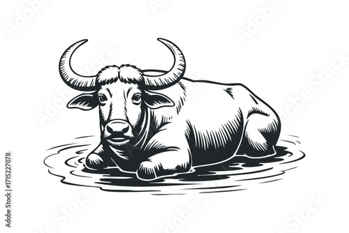 Water buffalo lying down in water transparent. Vector hand drawn