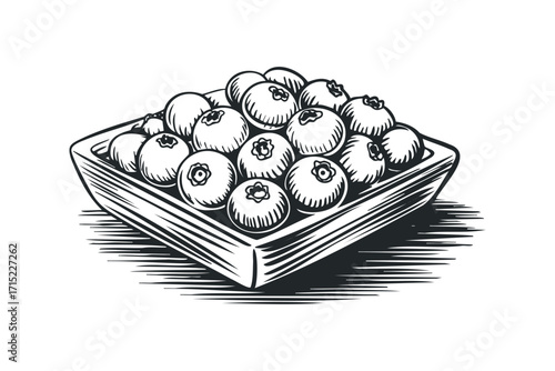 Hand Drawn Square Bowl of Blueberries on White. Vector hand drawn