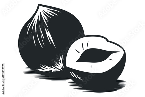 Whole and halved peach fruit vector graphic. Vector hand drawn