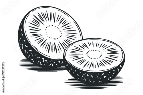 Sliced kiwi fruit linocut style graphic on transparent background. Vector hand drawn