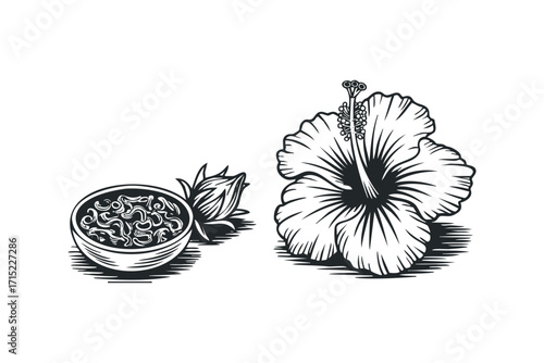 Hibiscus flower and bowl of dried petals. Vector hand drawn