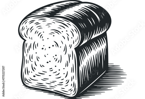 Slice of loaf with detailed texture on transparent background,. Vector hand drawn