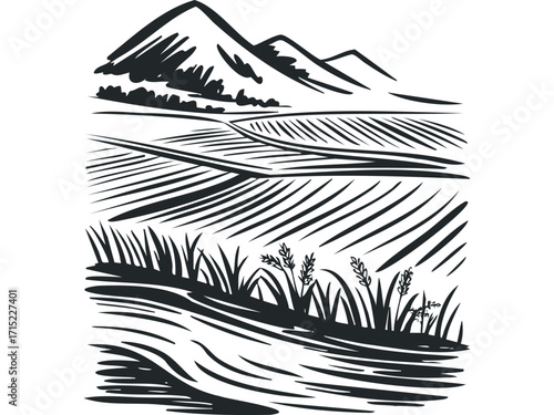 Stylized mountain landscape with cultivated fields and grasses in monochrome style. Vector hand drawn