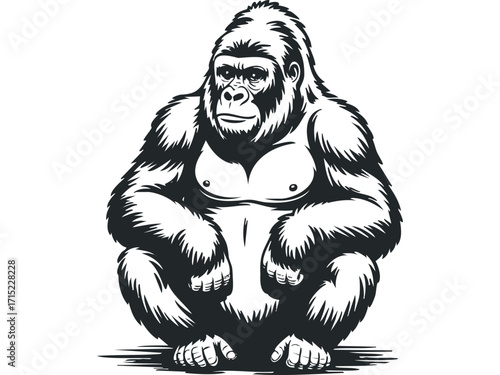 Gorilla primate animal strong silhouette on transparent background. Vector hand drawn