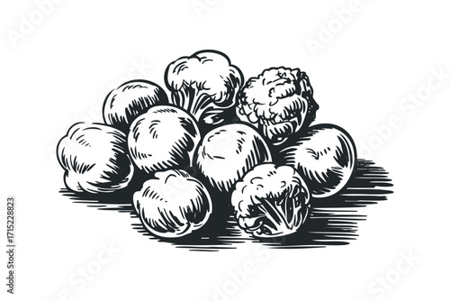 Monochromatic Woodcut Style Broccoli and Cauliflower Pile. Vector hand drawn