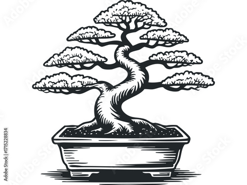 Stylized bonsai tree in a rectangular pot, black ink graphic on transparent background. Vector hand drawn