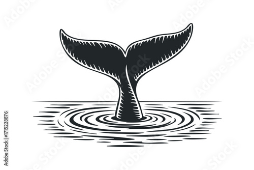 Whale tail fin emerging from rippling water surface monochrome graphic. Vector hand drawn
