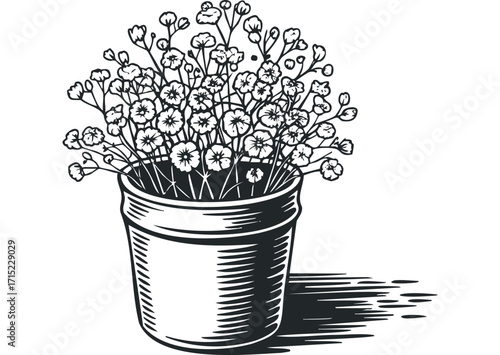 Hand drawn floral arrangement in a pot. Vector hand drawn