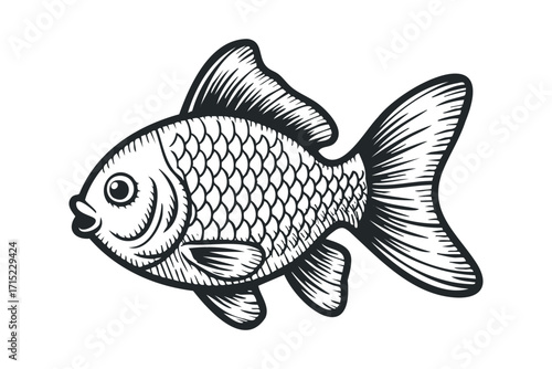 Peculiar fish isolated on a white background, a simplified graphic depicting a goldfish with fins and scales.. Vector hand drawn