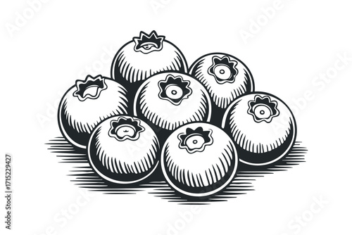 Monochromatic cluster of blueberries on a transparent background. Vector hand drawn