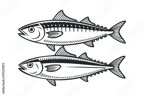 Two Mackerel Fish Outline Isolated on White. Vector hand drawn