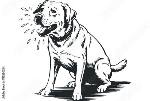 Labrador Retriever Dog Sitting Outdoors Isolated. Vector hand drawn