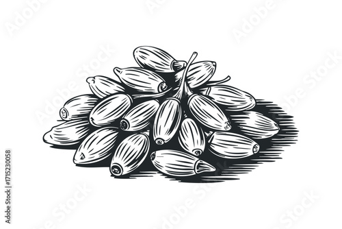 Bunch of dried dates fruit on transparent background. Vector hand drawn