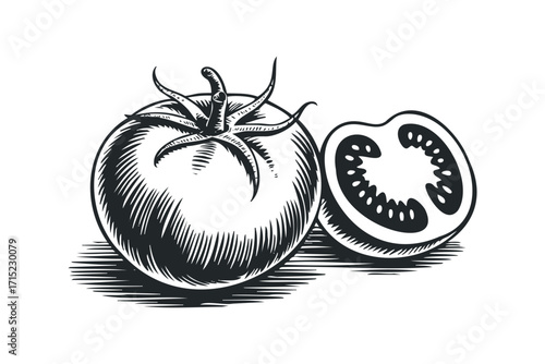 Whole and halved tomato with stem and seeds rendered in ink sketch style on transparent background. Vector hand drawn