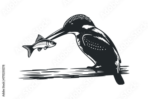 Kingfisher Bird Holding Fish on a Branch. Vector hand drawn