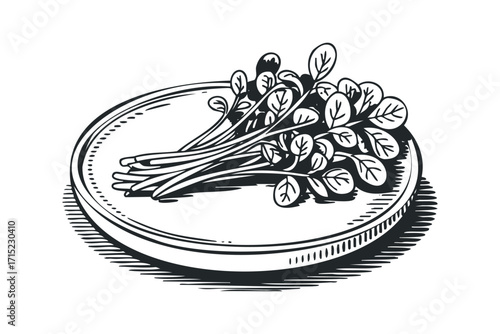 Fresh green sprouts on a circular plate. Vector hand drawn